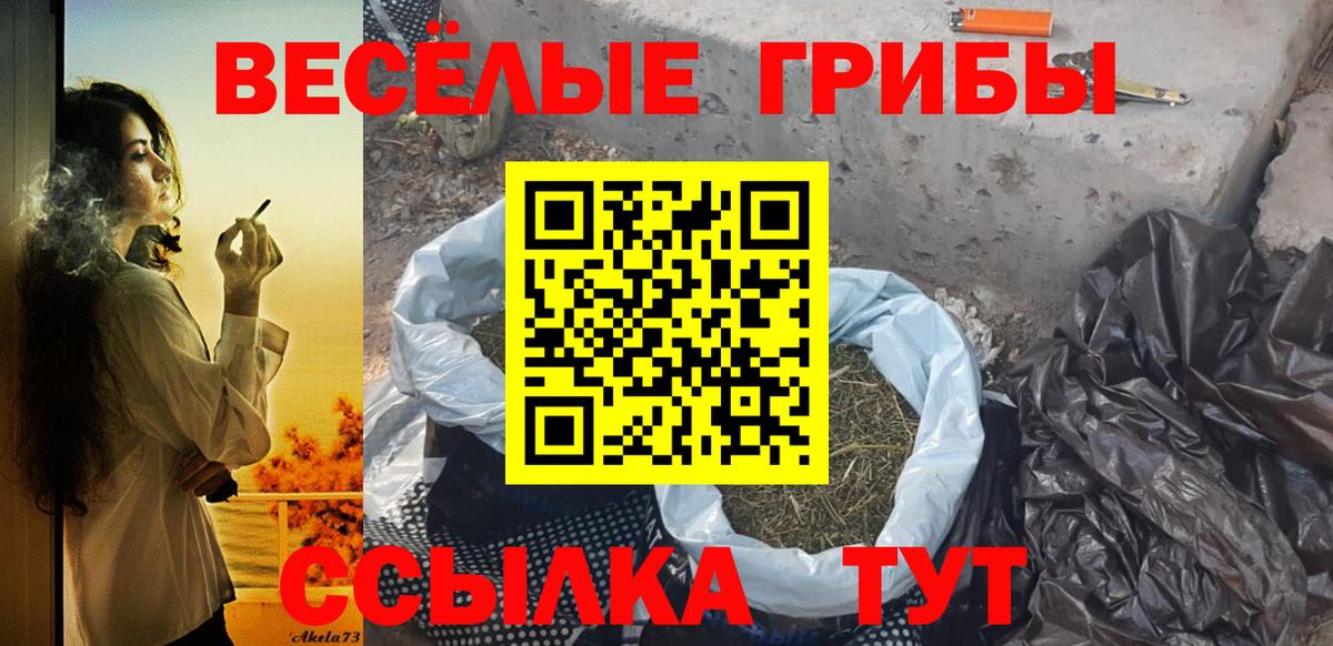 Галлюциногенные грибы GOLDEN TEACHER  Вход с VPN  Ростов Великий 